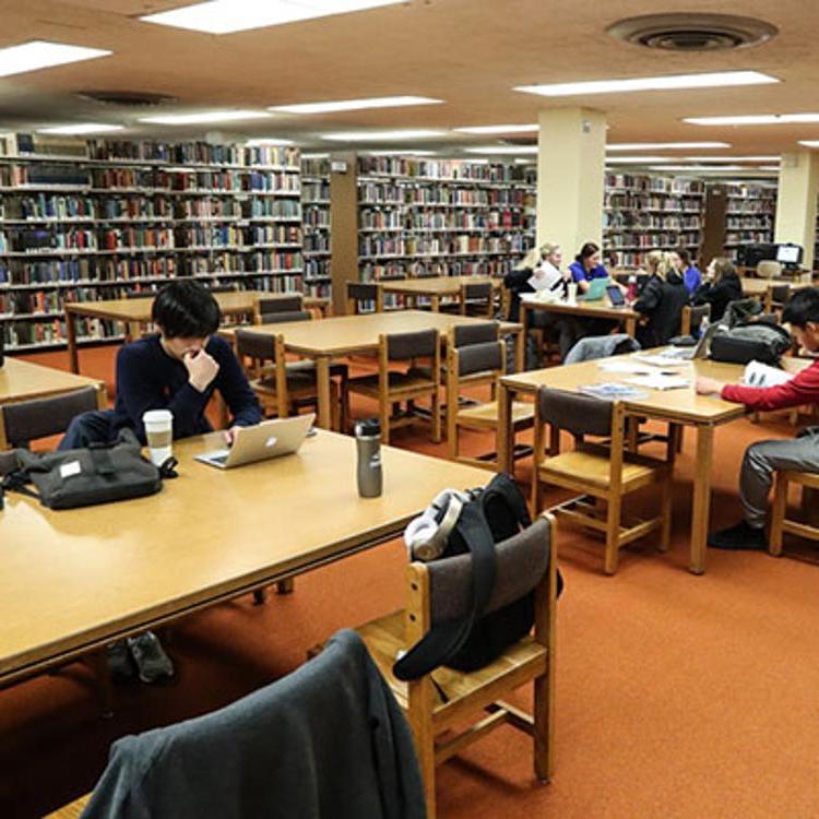 学生在卡尔文T学习. 瑞安图书馆